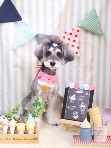 20250510ルナちゃん